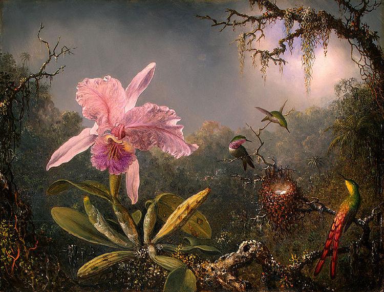 Martin Johnson Heade Cattleya Orchid and Three Brazilian Hummingbirds China oil painting art